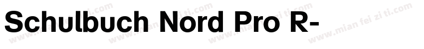 Schulbuch Nord Pro R字体转换